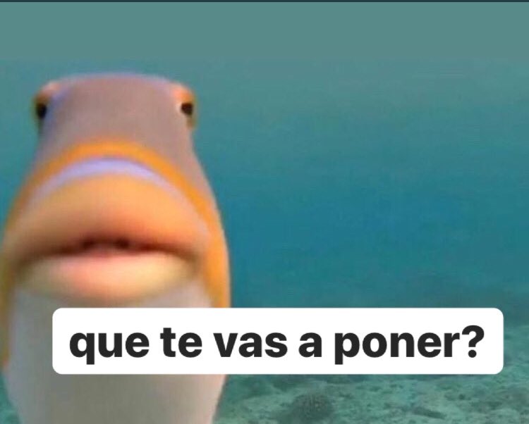 malenfriass's tweet photo. yo cada vez q hago un plan con mis amigos https://t.co/fBxS2dTtKi