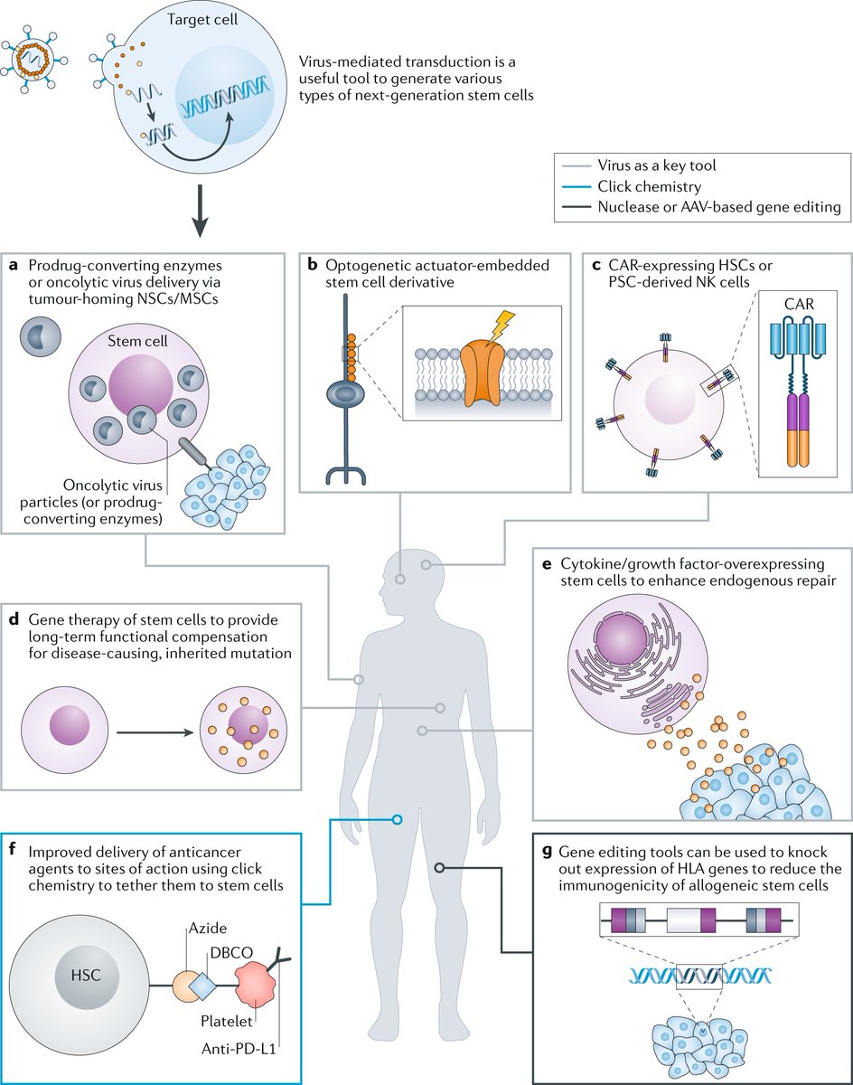 does chemo help mesothelioma