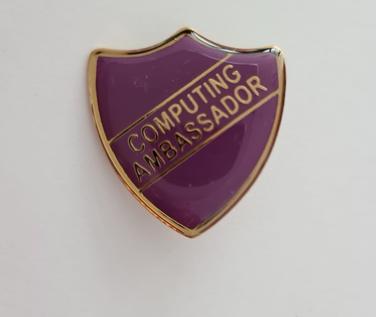 SASB_Comp's tweet photo. S5/6 Computing Ambassadors wanted for session 20-21! A great opportunity to develop leadership skills in an area you are interested in! Applications open in August! See Mrs McIntosh for more info! #computingAmbassador #computerWhiz #mentor #badge https://t.co/hKLHMANAMX