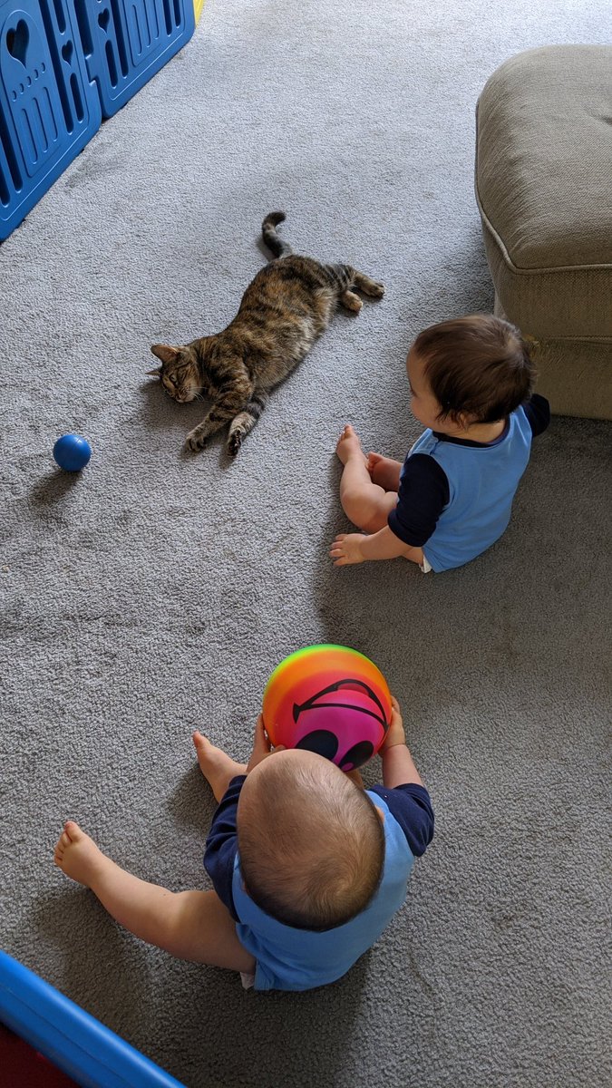 down_ink's tweet photo. @Aras_Sivad Fur and babies? https://t.co/8FNct6eglc