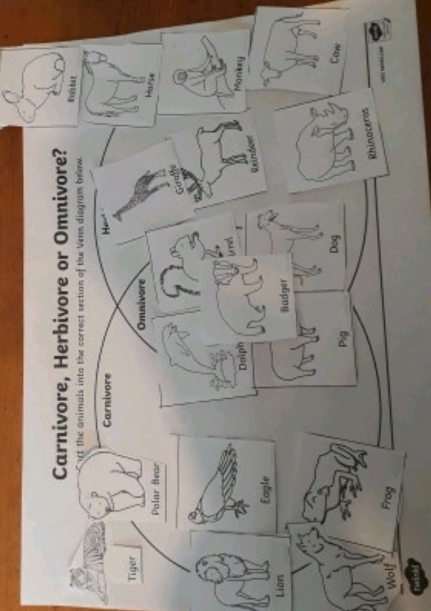 Miss__Hamilton's tweet photo. Some examples of Primary 4's fabulous #homelearning in relation to a virtual trip to the zoo! 🦁🐼🐯 https://t.co/CIBWuDcdjr