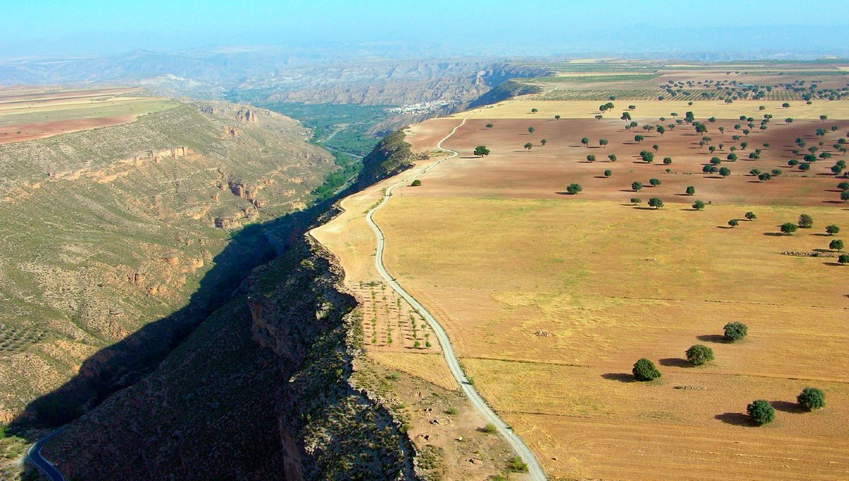 CulturaMillares's tweet photo. Panorámica del Valle del río Gor ¿puedes ver los megalitos integrados en el paisaje? 

Abajo, en la parte inferior de la fotografía casi al borde del cañón, se aprecian algunos dólmenes de la necrópolis del Llano de Olivares.

📷 Excmo. Ayuntamiento de Gorafe https://t.co/39XaGVEaPy