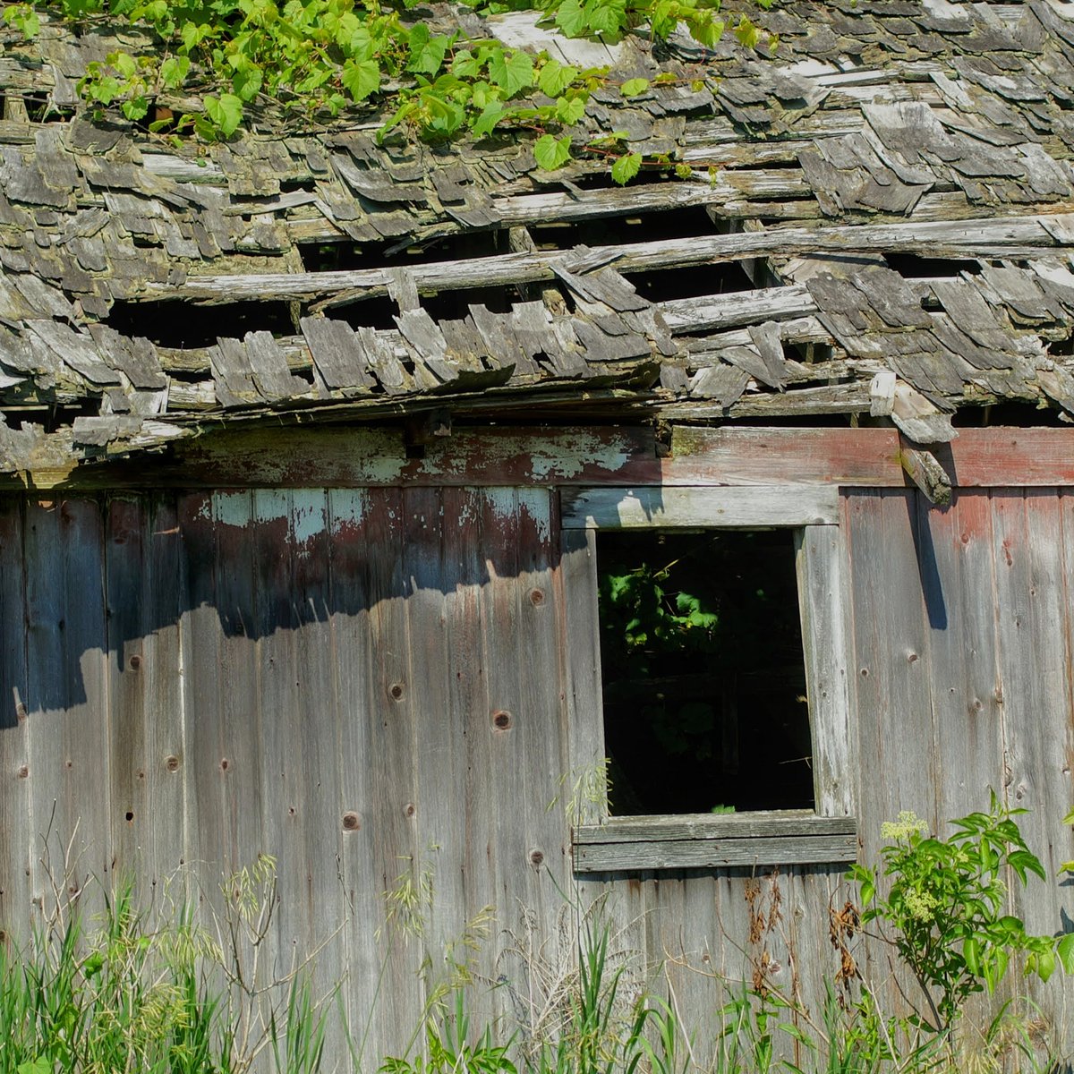 WKevinNelson's tweet photo. Good morning!π
#todayisagift #everydaysablessing #thankfuleveryday #june #oldbarns #badroof #ruralillinois #rural #roadsidecaptures #midwestcaptures #justalittletlcneeded #barnsofinstagram https://t.co/kMFaFBuACZ