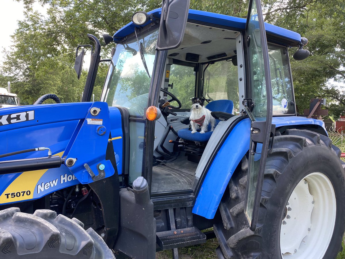 tgradous's tweet photo. @gracy69epixnet @2cowboys4u @ReedTimmerAccu @Feisty_FL @missouriwolfman @velvetrose15 @dmassad12 @RealDrGina Blessed to be in the hayfield with my best friend, so as not to to listen to the #HateAmericaFirst crowd https://t.co/ISf21PJ2bM