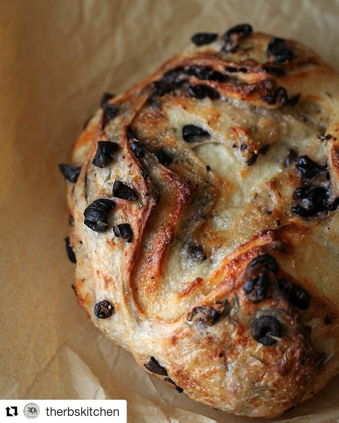ranveerbrar's tweet image. Bread baking need not be a daunting task. Try this recipe for Olive bread and let me know how you like it.
Link- 
instagram.com/p/CB0MDi1AwpM/…
 #olivebread #bread
