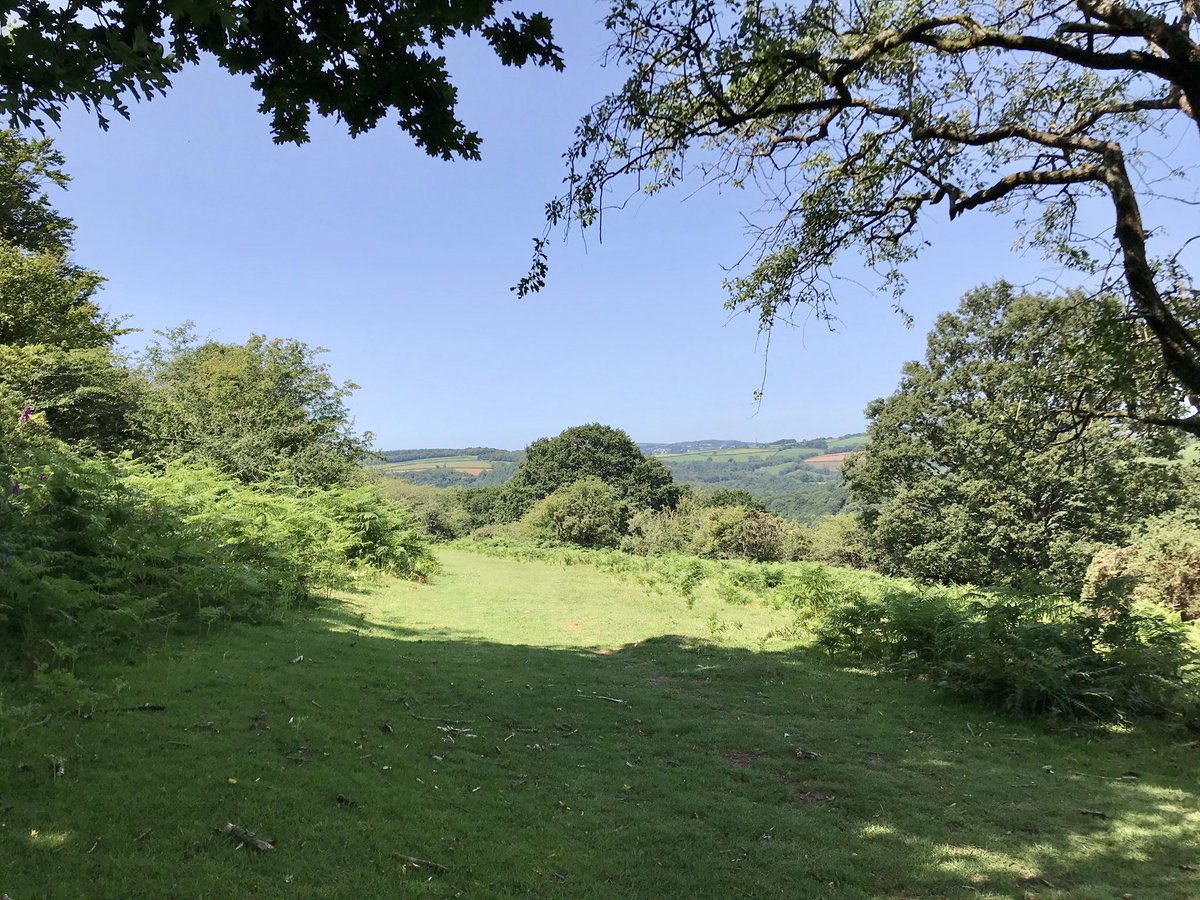 Several reports recently of people visiting local hospitals to get ticks removed. Remember to check yourself for ticks after a visit to Dartmoor.