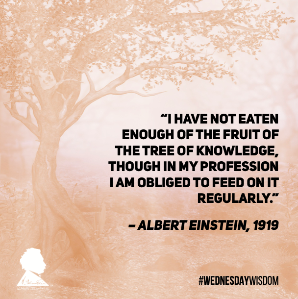 #WednesdayWisdom: “I have not eaten enough of the fruit of the Tree of Knowledge, though in my profession I am obliged to feed on it regularly.” – Albert Einstein, 1919