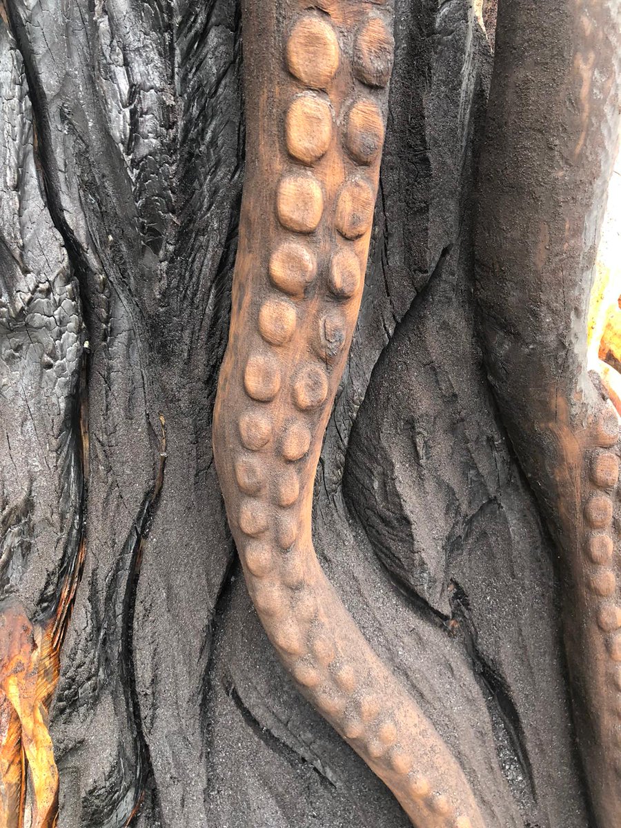 DubCityCouncil's tweet photo. Tree of Life under repair by @DCCParks_Biodiv Staff. Nature is robust! It will soon be back to its former glory! 🤞🏻 https://t.co/cdeqAVrPRL