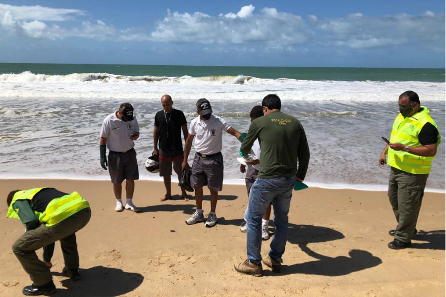 NordesteEco's tweet photo. Litoral Sul de Pernambuco, onde apareceram fragmentos de petróleo, é vistoriado
Leia: https://t.co/tM76knP9el
#AgênciaCPRH #CapitaniadosPortos #CongressoNacional #CPIdoÓleo #Ibama #LitoraldoNordeste #MarinhadoBrasil #Monitoramento #petróleo #PolíciaFederal #recuperação #SemasPE https://t.co/oFV9AgTkL1