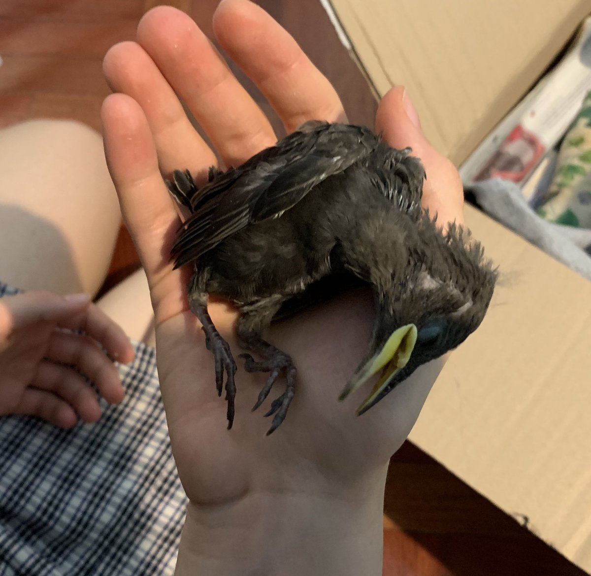 Jorge Montero tweet media