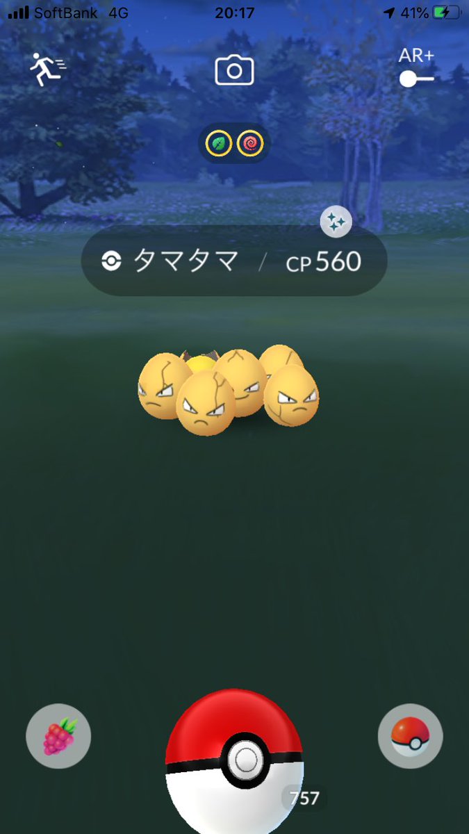 タマタマ 色 違い