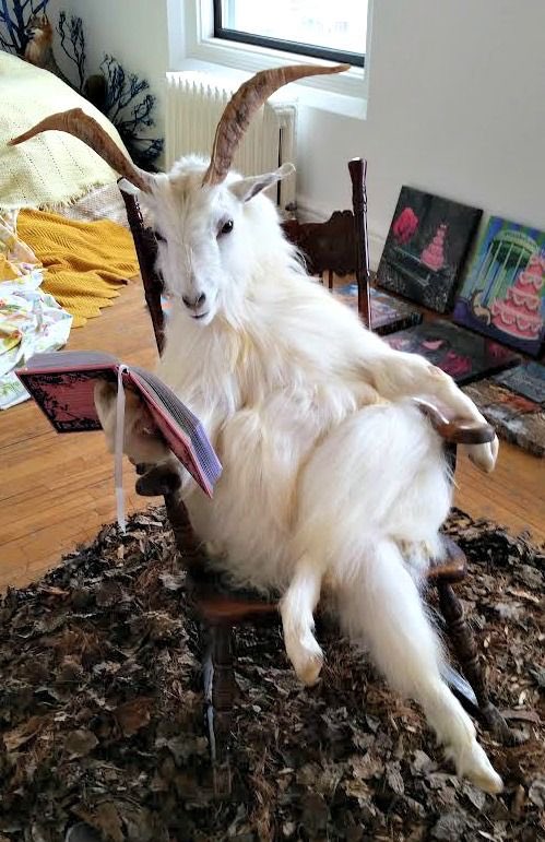 JoeyB_adanfo's tweet photo. So our GOAT has reached a million followers! 😘
How about we all send @1RealJoeyB Gh¢1 as congrats and appreciation for holding us down. 
#m33siahs ur mind dey??? https://t.co/cP3MmGI2tr
