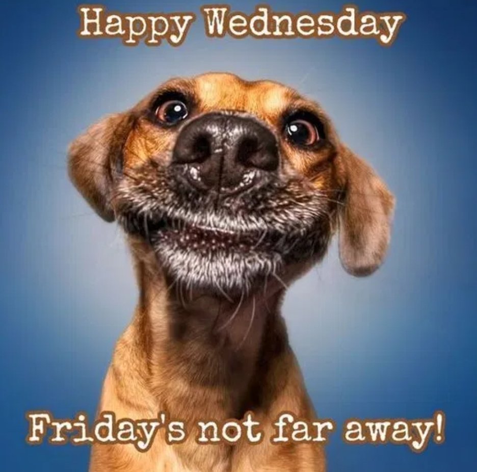 Good morning...  Enjoy your day.  
#rainbow #suffolk #franklin