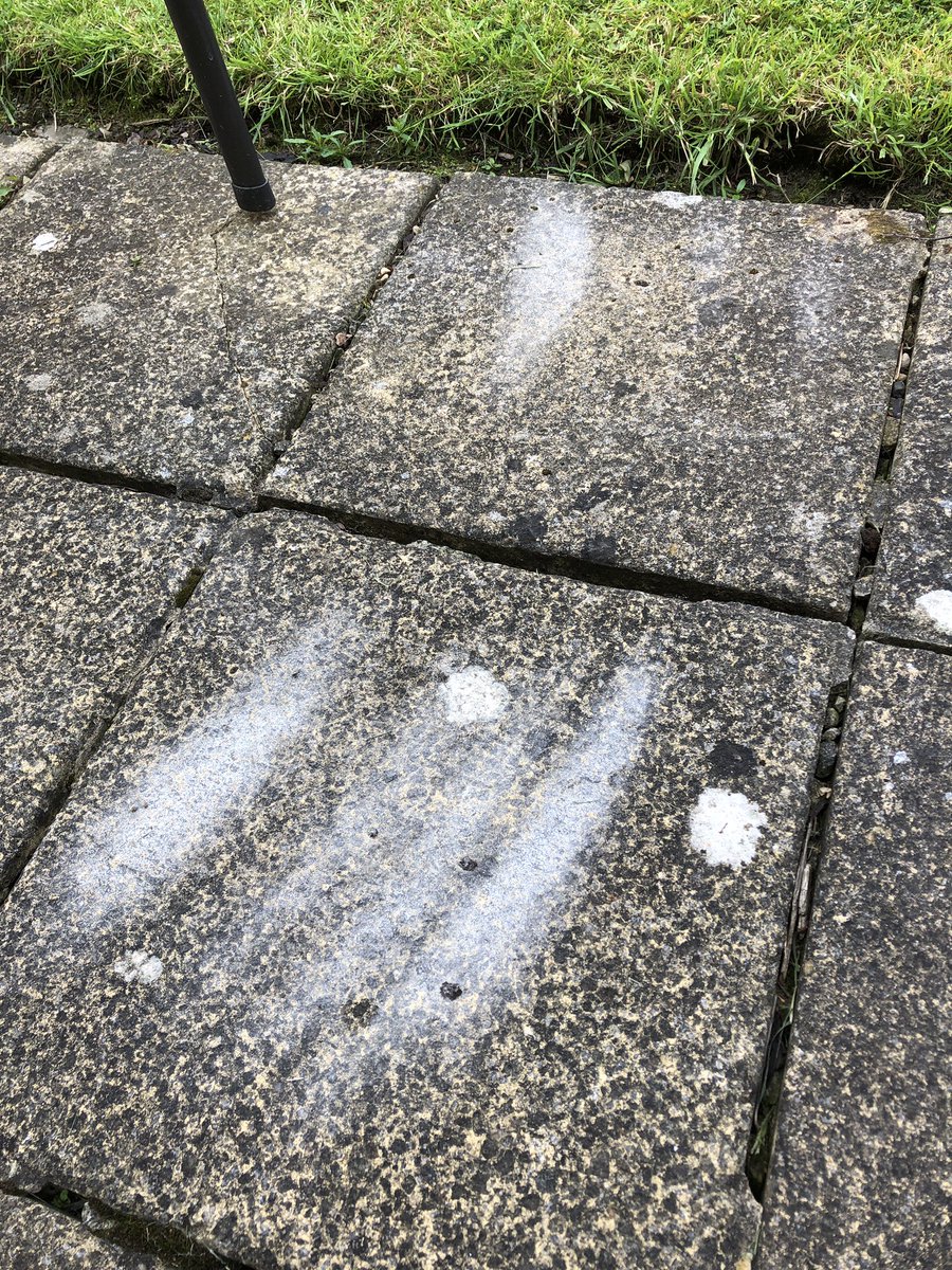 Barraboy 🏴🇬🇧🇪🇺 tweet media