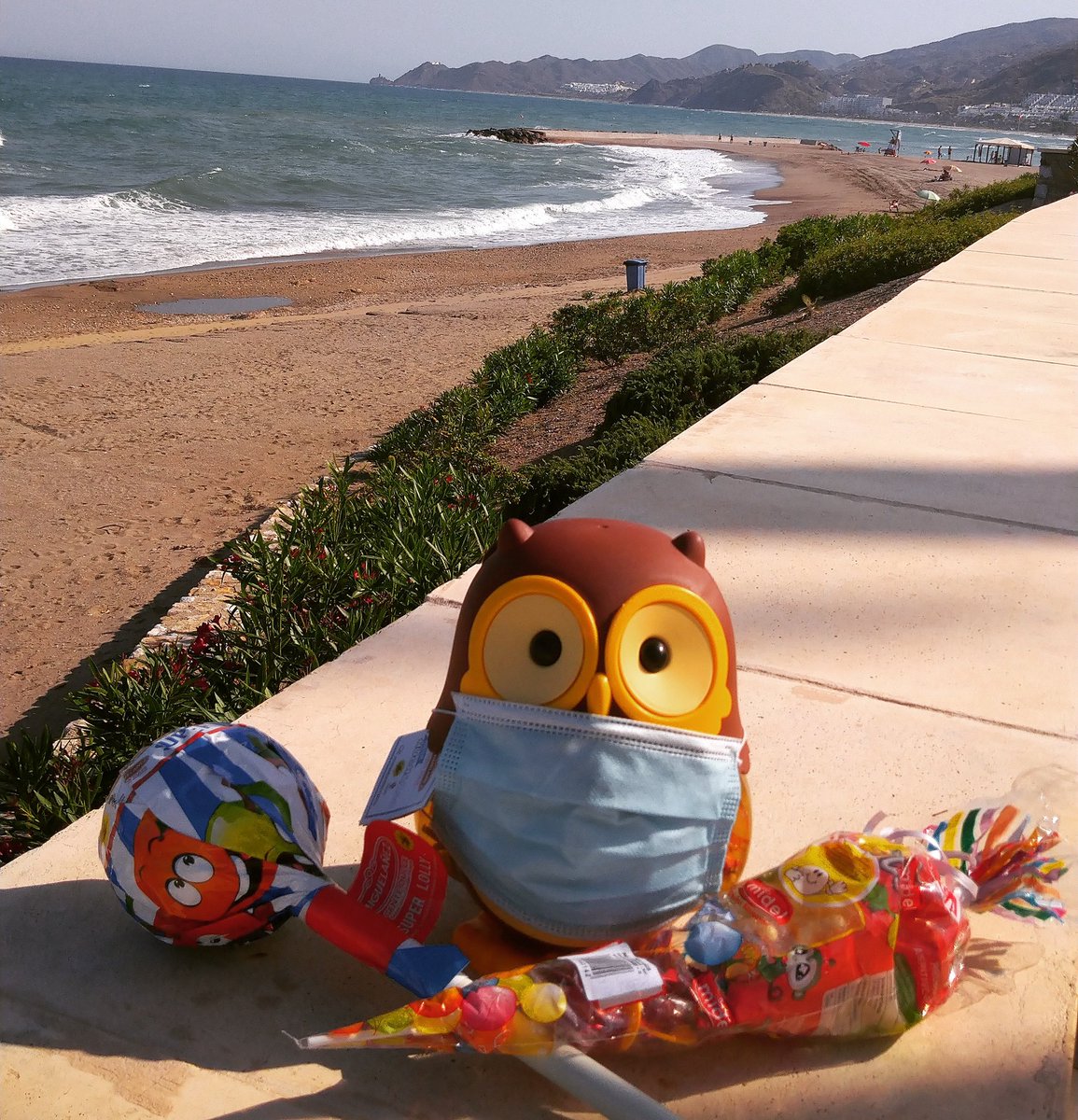 miguelanez's tweet photo. ¡Nuestro Mega HuchaZoo Búho ha escapado a la playa! ¿Sabes dónde está? Síguenos, dinosaurios en RT el lugar y ¡llévate este lote a casa! #sorteo #suerte #huchazoo #buho #miguelañezporelmundo https://t.co/g0TIwNWoff