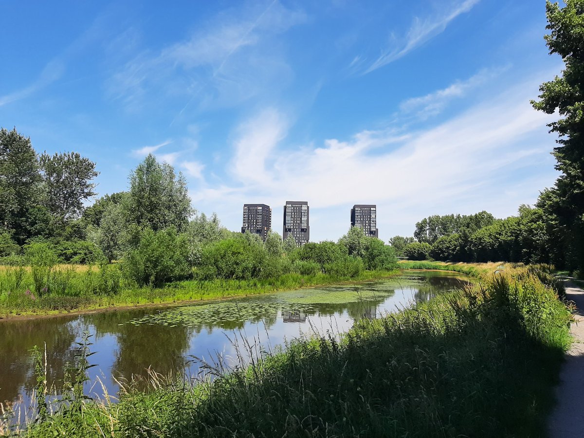 Je vind het mooi of niet, maar de zwarte torens langs de zuidelijke rondweg, steken goed af bij al het groen rondom de #aaofweerijs 🙃 #lunchbreak #lunchwandeling #inbreda #breda