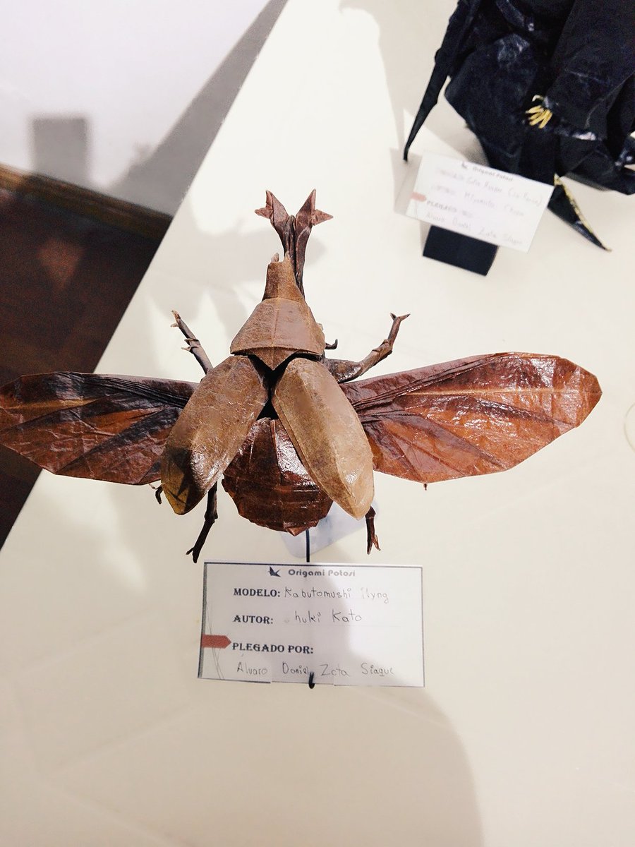 kabutomushi  Alvaro Zota (Shuki Kato)
plegado de un cuadrado de papel de 50 x50 ctm