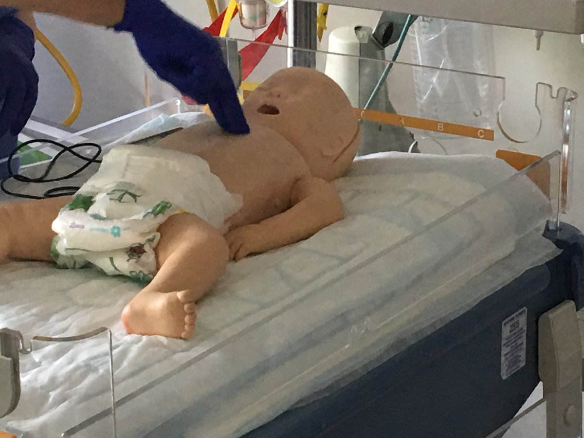 SPRinT Simulation tweet media