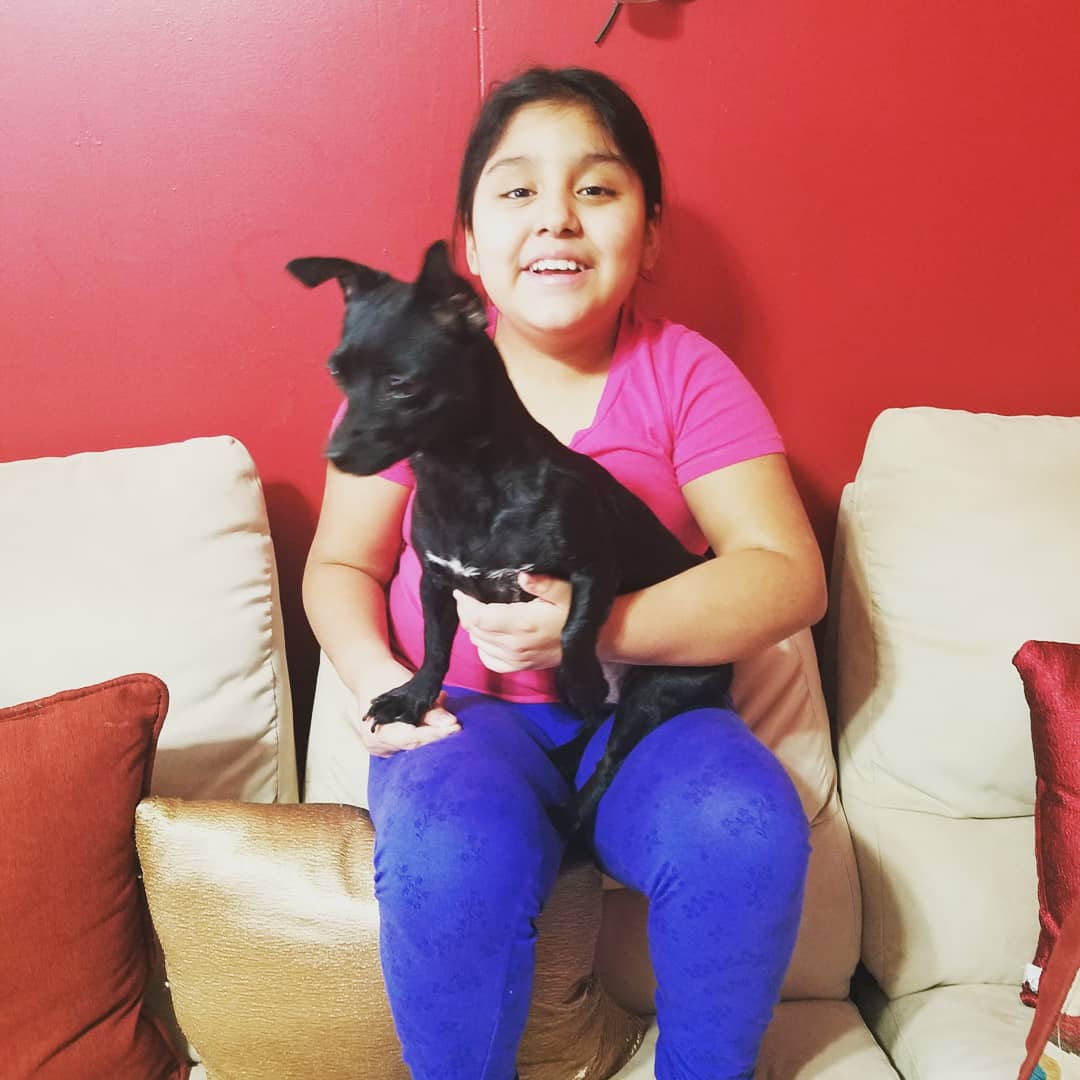 StBrigAug's tweet photo. A special Father's Day moment for Saralee with her Daddy and  pets! 

#SBSASStrong💖 
#fathersday https://t.co/lbfNmiBs0u
