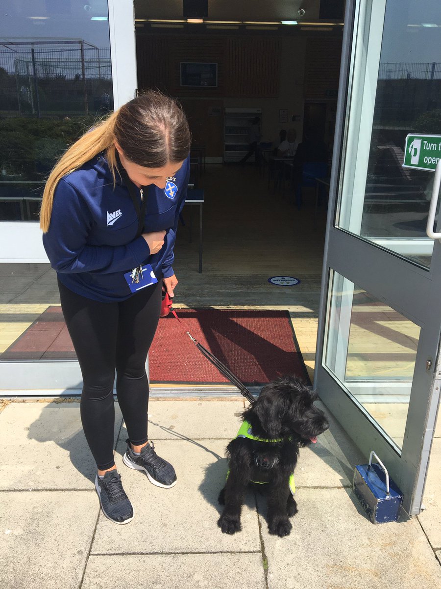 Mrs Wilson is doing a great job training Hild’s #HildasHandlers #SchoolDog #hardworkpaysoff 💖🐶