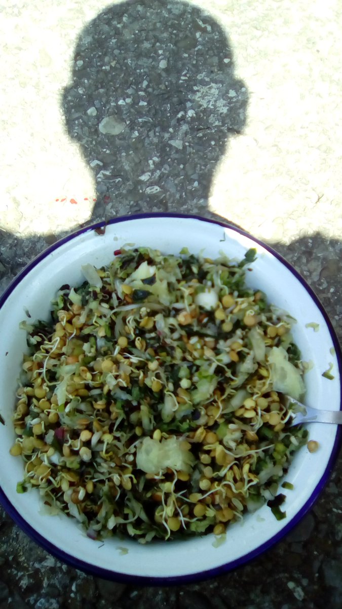 bogdragan's tweet image. Greens and sprouts. #rawvolution #goraw