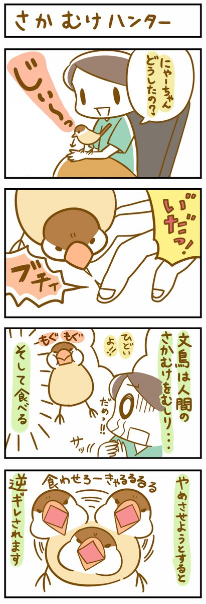 にゃーちゃん思い出四コマ さかむけ 