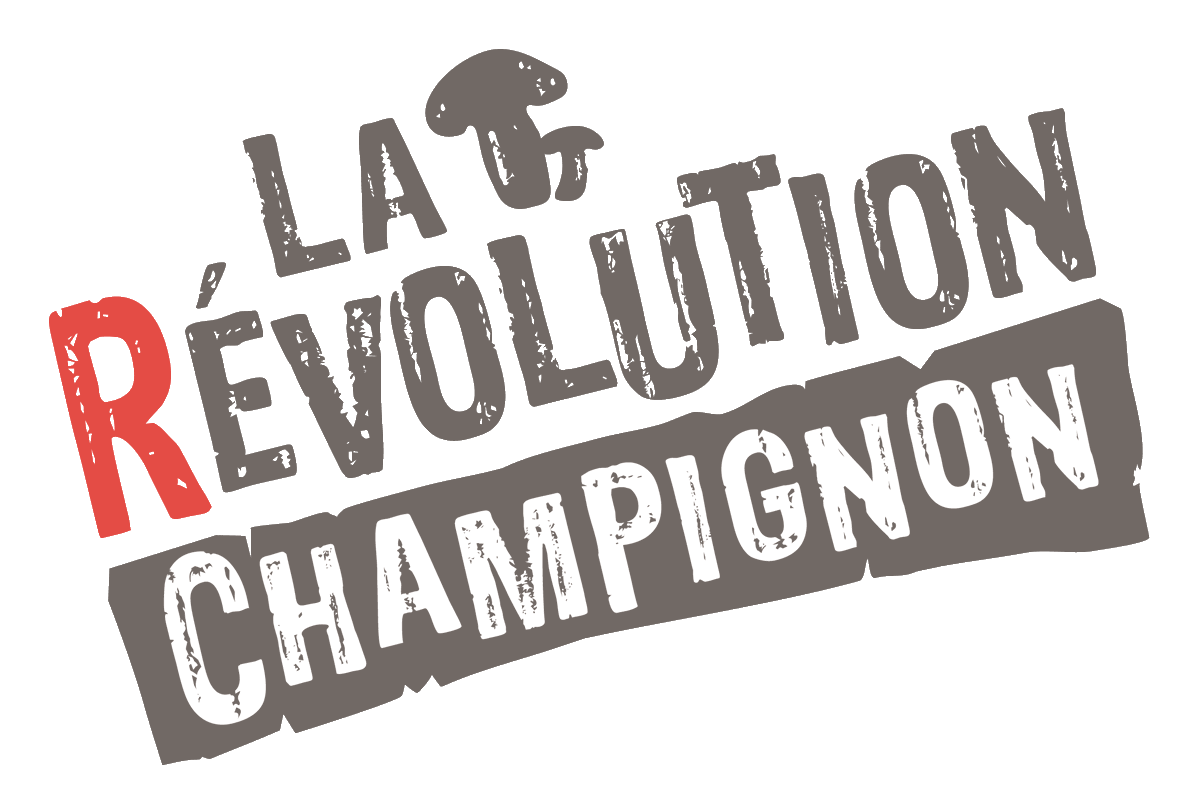 LaRevChampignon's tweet photo. #LaRevChampignon lance son site web ! 🍄
Un nouveau site pour parler de nos #engagements, nos #valeurs et notre volonté de développer tout le potentiel du #champignon !🙌
Rejoignez la Révolution alimentaire 👉 https://t.co/UYoRctegZn
#foodtech #bio #durable #transitionalimentaire https://t.co/gNgGy53uCY