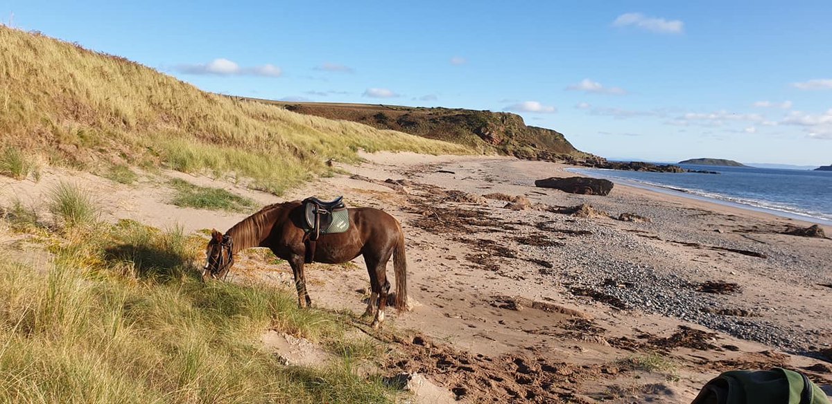 🎉🎉 OUR PHASED RE-OPENING 🎉🎉

We are now delighted to announce the phased re-opening of our summer season from July 15th! 

We have introduced several new policies and systems which will be implemented to ensure both your safety and ours. 

#staycation #horseridingscotland