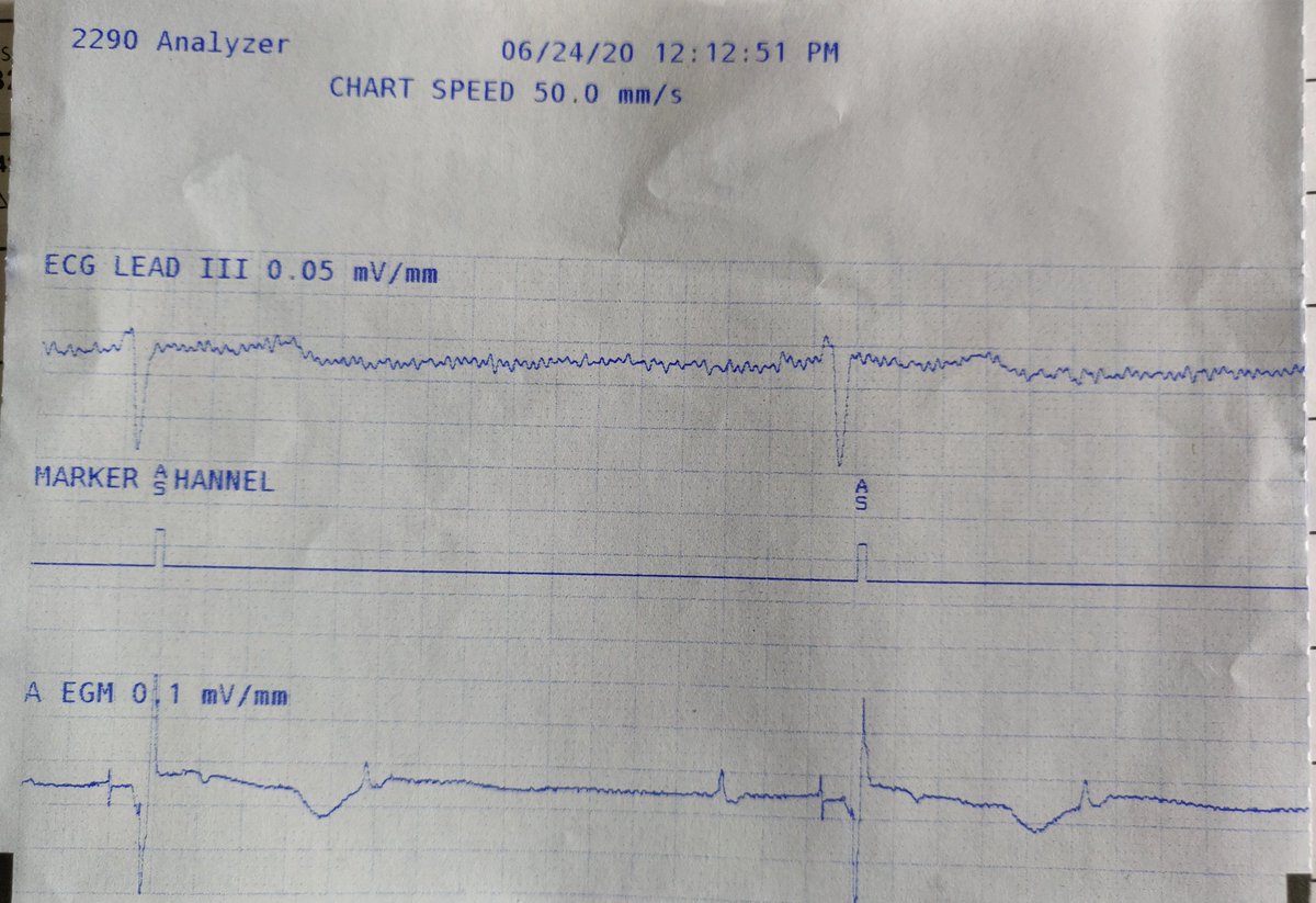 Niraj Yadav tweet media