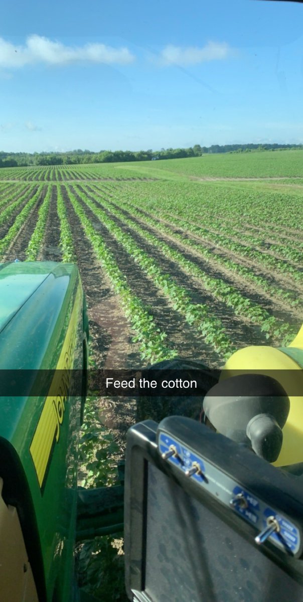 nocopeanut's tweet photo. Applying 24S to some Phytogen 500 this morning.  Very impressed with its vigor up to this point.  #Feedthecotton #Phytogenyields https://t.co/wZoXwVUYEe