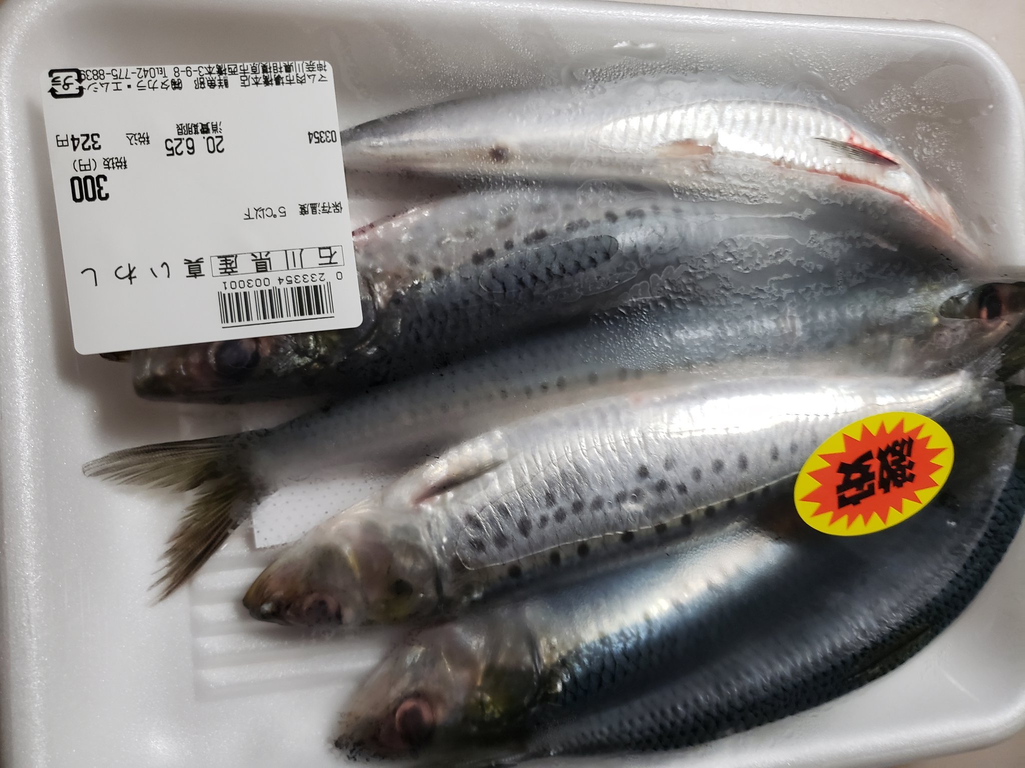 Kamikuzawa 今日の夕食はイワシの塩焼き 今ごろのイワシは産卵期で油が多く美味しいですね その為魚がダメな次女は別で早めに夕食 かみさんと私は後からです