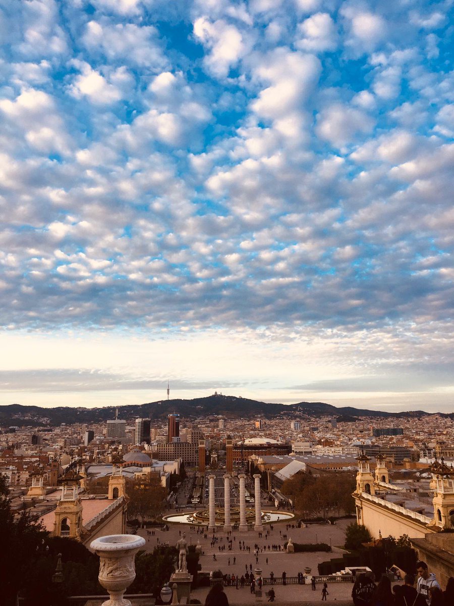 Discovering Barcelona 3/7:

One of several fantastic spots to enjoy a beautiful view of Barcelona is from the top of the MNAC museum 📷🔝☀️

It’s also worth going there to see the sunset! 🌇