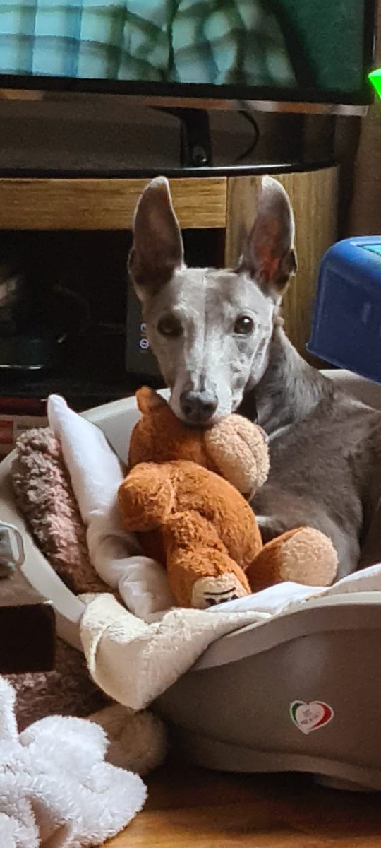 GeoffTee's tweet image. 