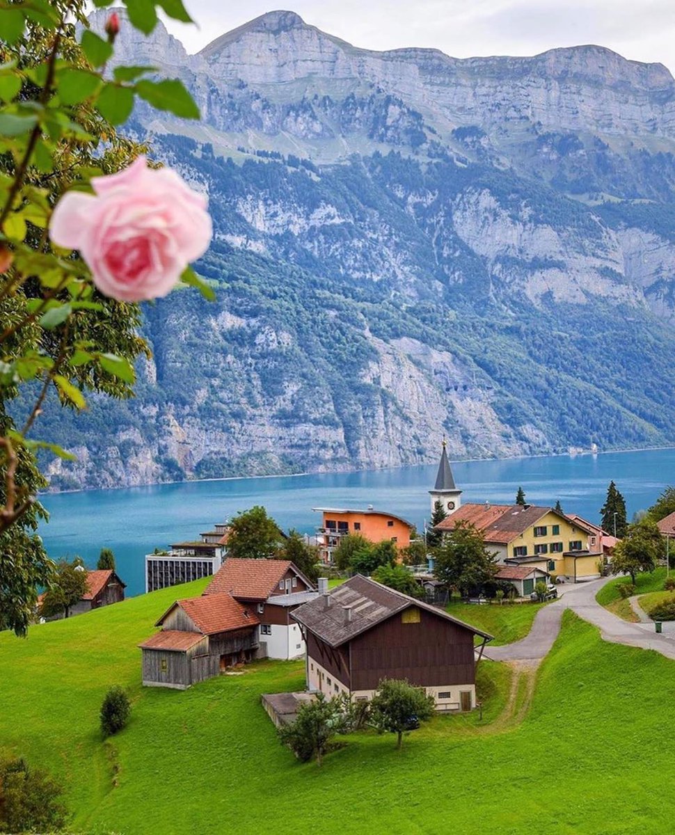 squareofin's tweet photo. Who want to visit Amazing Switzerland ?
.
Photos & Locations:
1- #Grindelwald 📸 @amir_asani13
2- #Foroglio #Ticino 📸 @christofs70
3- #Quarten 📸 @aneta1404
4- #Lauterbrunnen 📸 @hebenj
📍: Switzerland
#Switzerland https://t.co/qT7gmBBIOh