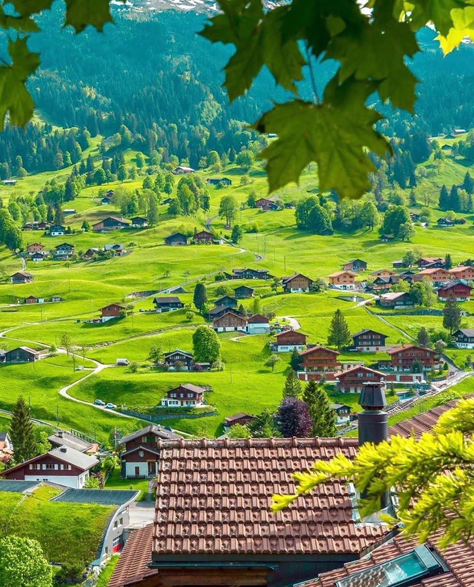 squareofin's tweet photo. Who want to visit Amazing Switzerland ?
.
Photos & Locations:
1- #Grindelwald 📸 @amir_asani13
2- #Foroglio #Ticino 📸 @christofs70
3- #Quarten 📸 @aneta1404
4- #Lauterbrunnen 📸 @hebenj
📍: Switzerland
#Switzerland https://t.co/qT7gmBBIOh