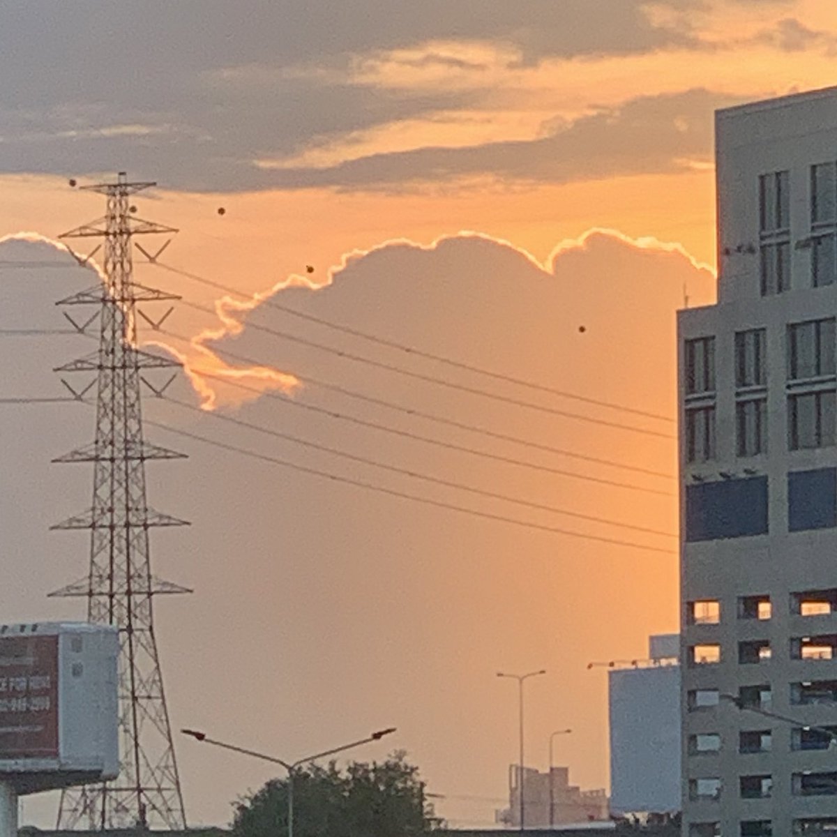 bLOLLY's tweet photo. 🟠🥐 https://t.co/5GmAO2rdkR