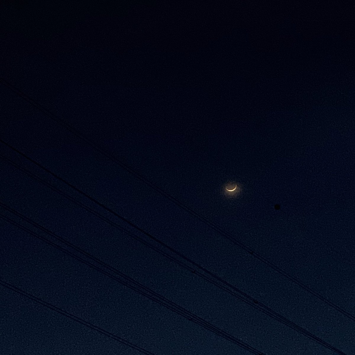 bLOLLY's tweet photo. 🟠🥐 https://t.co/5GmAO2rdkR