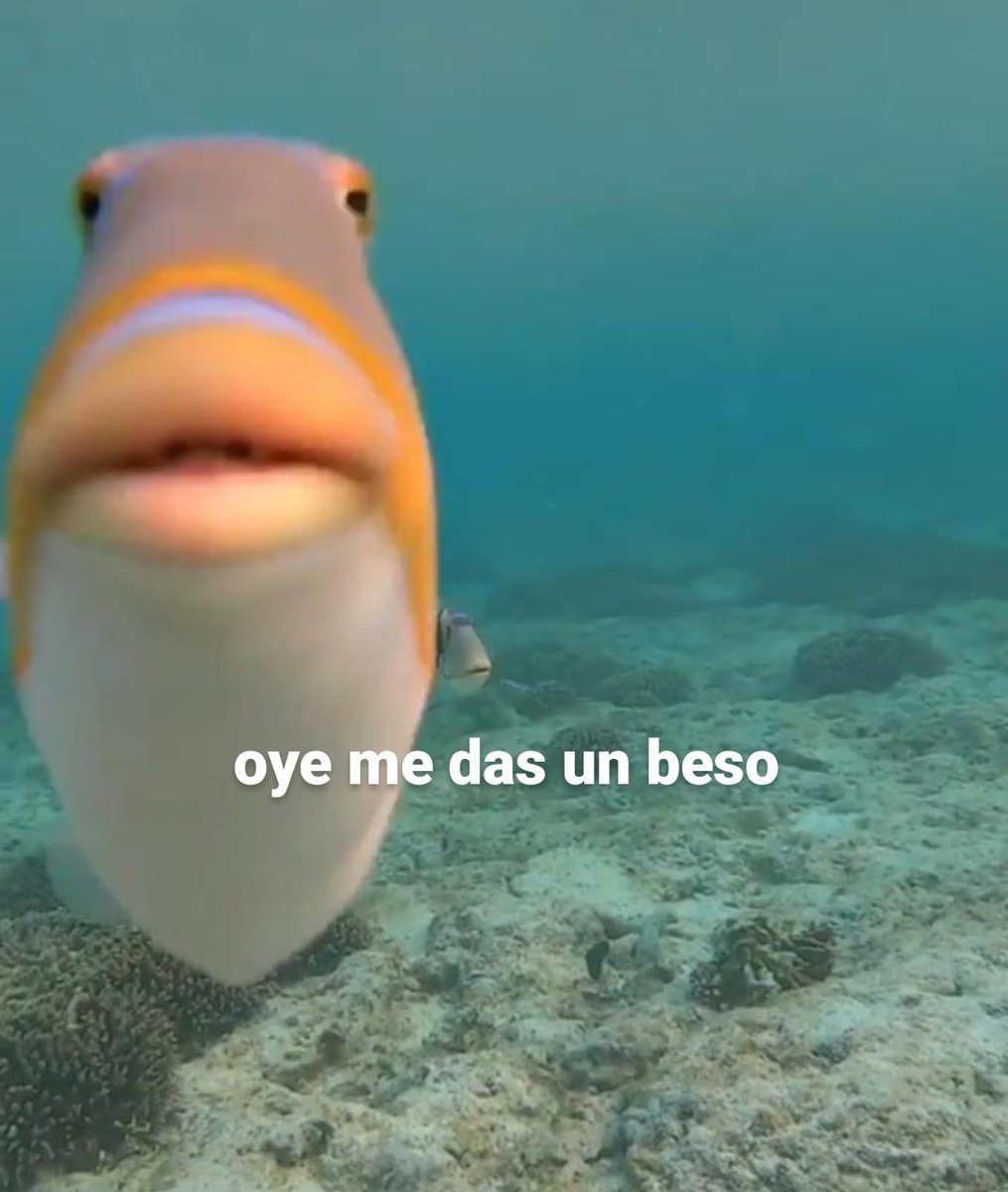 xusticieira's tweet photo. yo cada 3 segundos literalmente https://t.co/9c6IWFL0rX