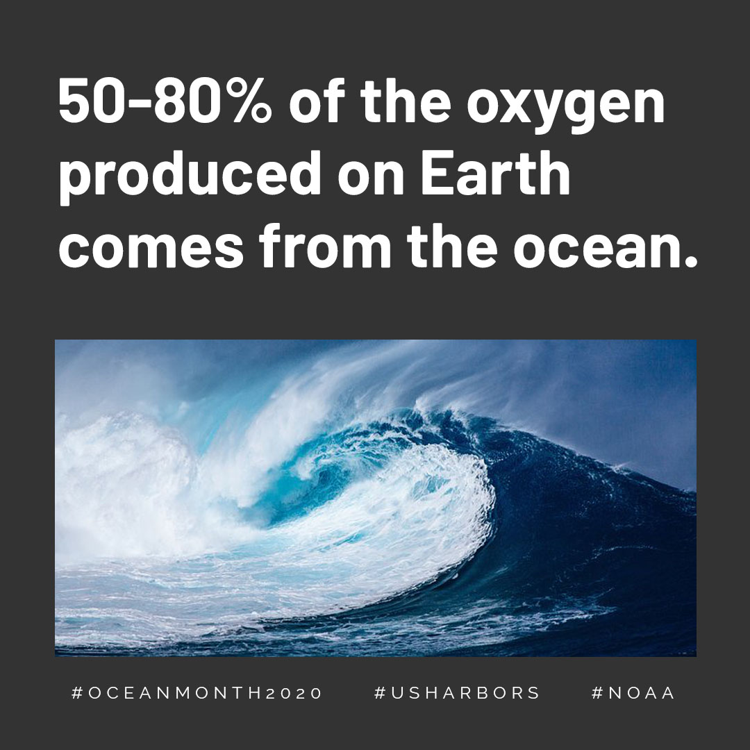 usharbors's tweet photo. That's right: OVER 50% of our oxygen comes from our oceans! YOUR NEXT #OceanIQ QUESTION: What in our ocean actually produces that amount of oxygen? #oceanmonth2020 Think you know? https://t.co/PMhiLvQLIR