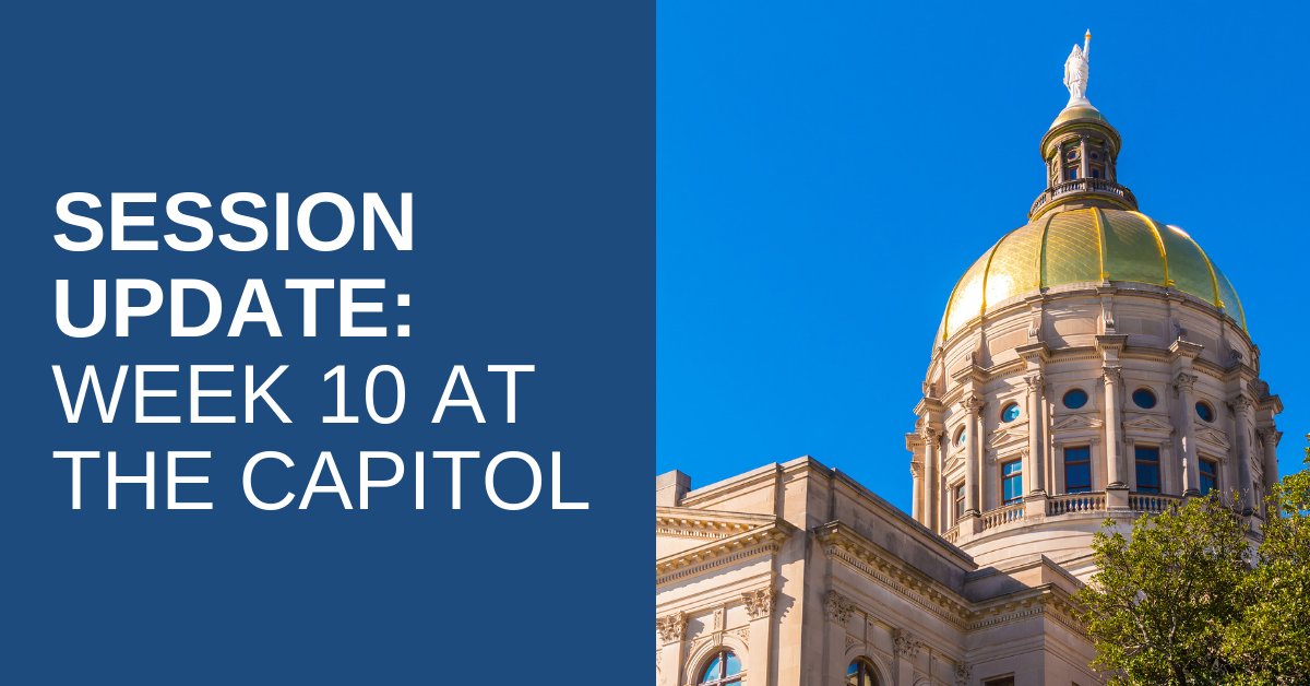 dalerutledge's tweet image. Check out my Session Update: Week Ten at the Capitol! #2020session #GeorgiaGeneralAssembly #GeorgiaHouseofRepresentatives #gapol daleforstatehouse.com/session-update…