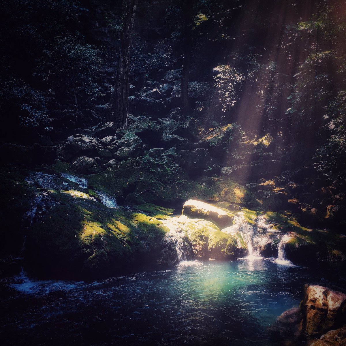 Get Marco tulio ciceron zitate Free Marco Tulio Ciceron Zitate