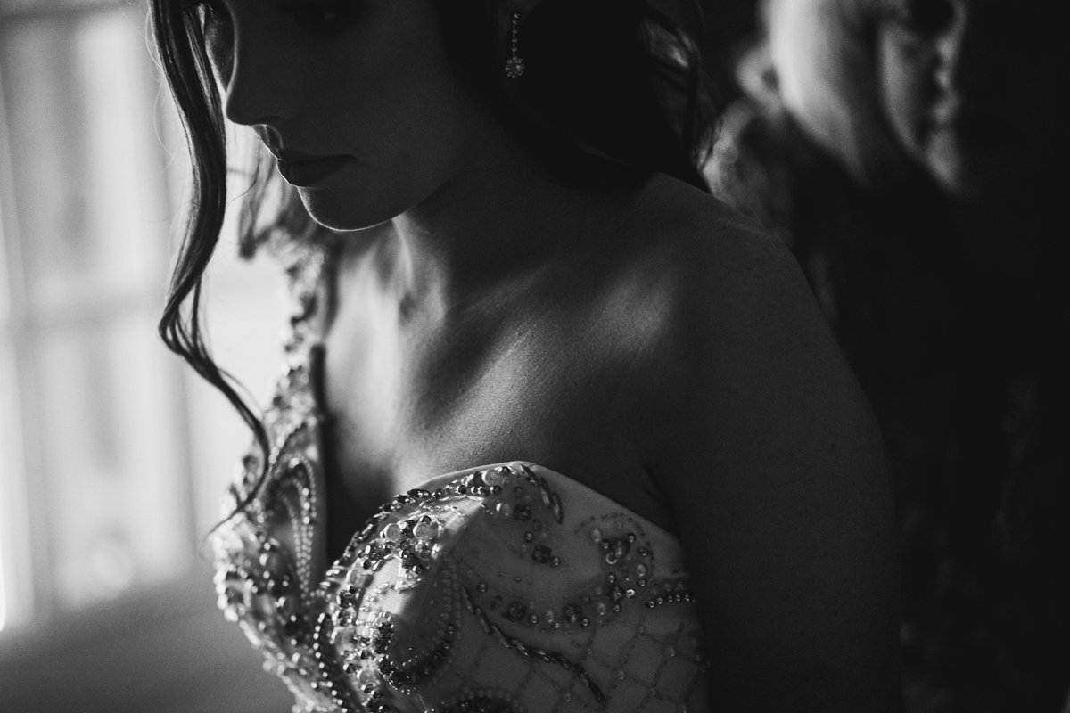 Hoffer Photography tweet media