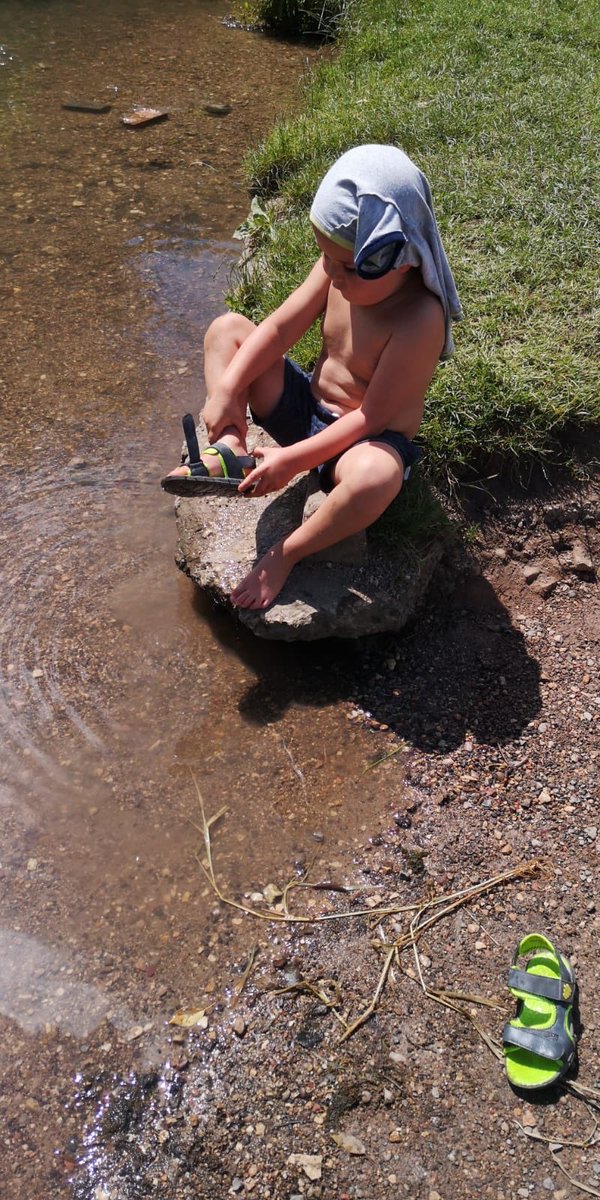 Catherine Matthews tweet media