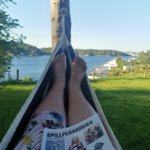 Photo by Kristine Sevik (@ksevik)
