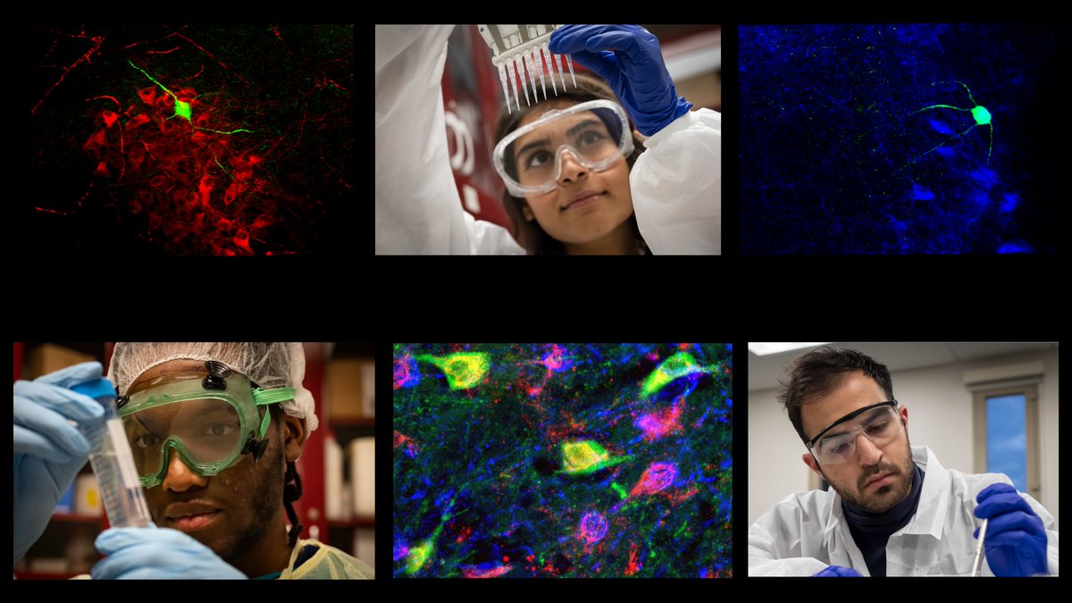 Intrigued by sex differences in stress responses? Interested in endocrinology, behavior, structural plasticity, &amp;/or epigenetics? Want to live in an amazing city? If so, come join our team as a POSTDOC (ad to come)! Pls RT