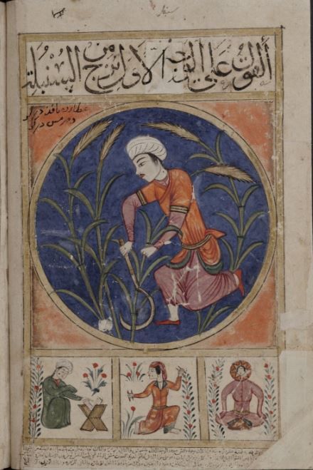 In the writings of medieval Muslim astrologers, Virgo earned a reputation as a sign of the wise. Today known as The Virgin in the zodiac, Virgo had a far more complicated depiction among Muslim astrologers. A thread on Virgo in astrology from the Islamic World-