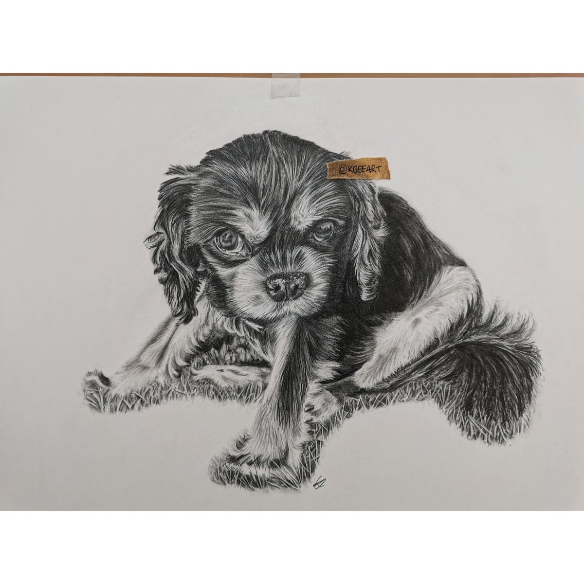 I'm currently in the middle of designs for a new company so my pencils are on pause. But here's my most recent commission, a cute doggy named Lola who passed away to a lovely lady who absolutely adored this photo of her 😇
.
.
.
#art #artist #artistsontwitter #dog #portraitartist