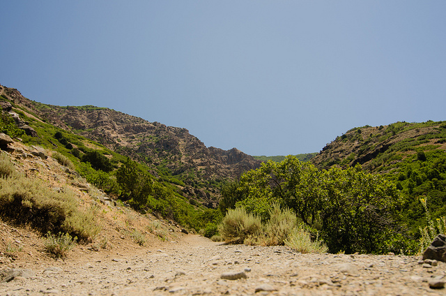 OgdenSuites's tweet photo. Summer is officially here! π
What's your favorite part of summer? Perhaps the lakes, ATV'ing, hiking, or hanging out with Dinosaurs? ππ¦
#VisitOgdenUtah #VisitUtah #sumerfun https://t.co/BXgMcAZDIi