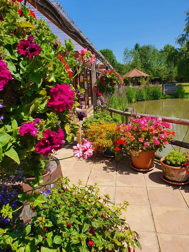 yarlingtonbarn's tweet photo. Hot! Hot! Hot! @yarlingtonbarn https://t.co/85hJen47w8