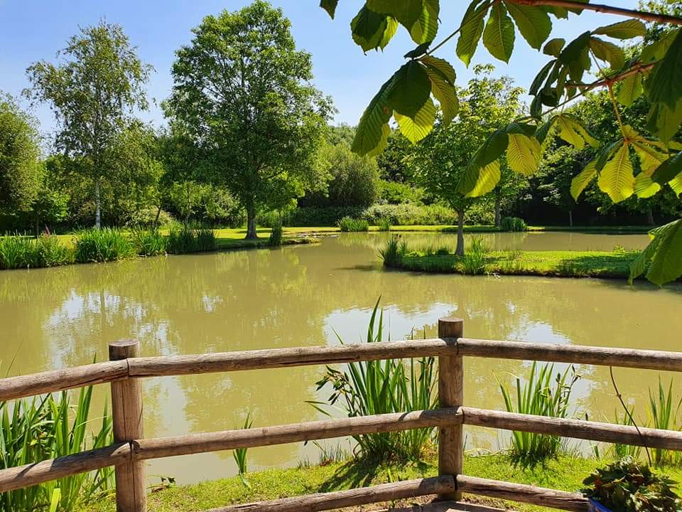 yarlingtonbarn's tweet photo. Hot! Hot! Hot! @yarlingtonbarn https://t.co/85hJen47w8